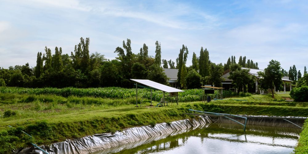 Solar photovoltaic water pumping system beside an agricultural reservoir and green farmland, illustrating renewable energy, irrigation, water management, and sustainable farming.